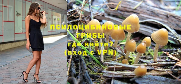 тгк Майский