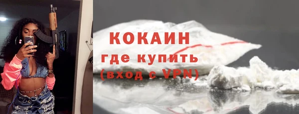 дживик Магас