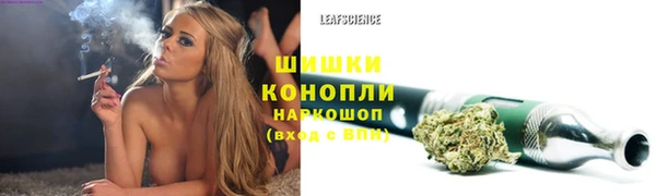 тгк Майский