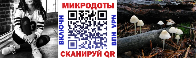 хочу наркоту  Краснодар  Галлюциногенные грибы мухоморы 